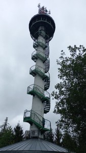 20220917_151135.jpg